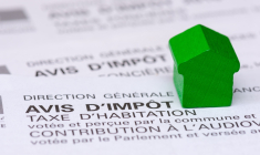 (Crédits photo: ©   HJBC - stock.adobe.com)