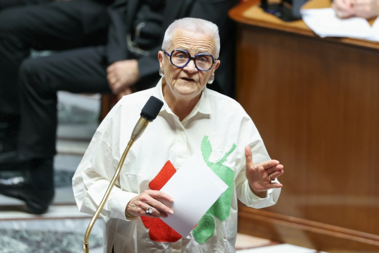 La ministre de la Décentralisation, Françoise Gatel, à l' Assemblée nationale, à Paris, le 14 octobre 2026 ( AFP / Thomas SAMSON )