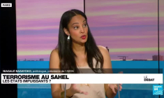 Terrorisme au Sahel : les États impuissants ?