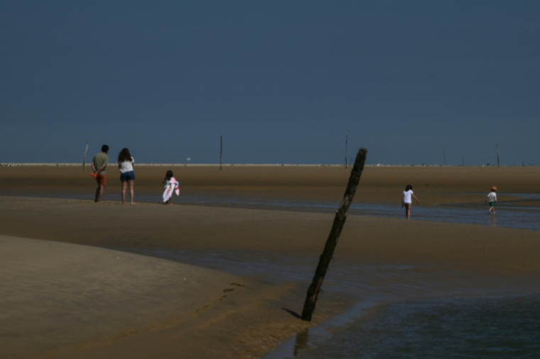 Des promeneurs sur le banc d'Arguin, îlot "mouvant" de sable près d'Arcachon, en Gironde, le 20 avril 2026 ( AFP / Philippe LOPEZ )