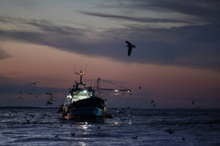 Le bateau de pêche Stereden Ar Moor au large du Conquet, le 17 juillet 2025 dans le Finistère ( AFP / Fred TANNEAU )