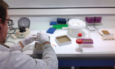 Un laboratoire de recherche de Limagrain. (illustration) ( AFP / SANDRA LAFFONT )