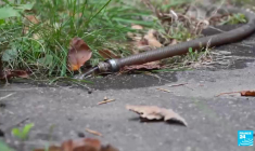 Guerre en Ukraine : rester ou partir, le difficile choix des citoyens de Kramatorsk