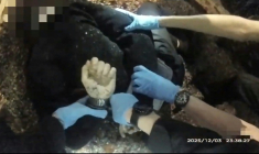 Capture d'écran d'une vidéo, datant du 3 décembre 2025 et diffusée par la police le 2 juin 2026, montrant un jeune homme poignardé, menotté par des agents à  Southampton, dans le sud de l'Angleterre ( Hampshire & Isle of Wight Constabulary / - )