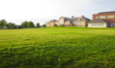 En matière immobilière, la propriété peut s'acquérir par l'usage public durant trente ans et un droit peut se perdre inversement par le non-usage durant trente ans. (freenaturestock / Pixabay)