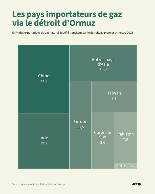 Destination du gaz naturel qui a transité via le détroit d'Ormuz au premier trimestre 2025, en pourcentage par pays et en volume. La circulation de navires dans le détroit s'est fortement réduite depuis le début de la guerre au Moyen-Orient ( AFP / Jonathan WALTER )