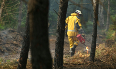 Un pompier allume un feu tactique, à Luglon (Landes), le 16 août 2026 ( AFP / Gaizka IROZ )