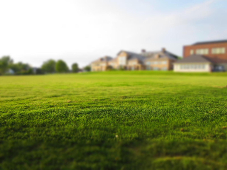 En matière immobilière, la propriété peut s'acquérir par l'usage public durant trente ans et un droit peut se perdre inversement par le non-usage durant trente ans. (freenaturestock / Pixabay)