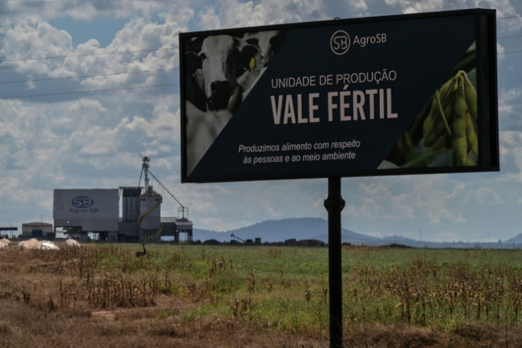 Une ferme du groupe industriel AgroSB à Xinguara, dans l'Etat du Para, en Amazonie brésilienne, le 22 juin 2025 ( AFP / Nelson ALMEIDA )