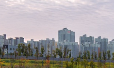 Un déficit colossal de bureaux « verts » dans les grandes métropoles mondiales selon Savills