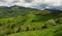 Vue du sommet du Grand Ballon et des montagnes des Vosges, le 13 mai 2024, région dans laquelle un programme de réintroduction du grand tétras partir d'individus capturés en Norvège est contesté par des associations lorraines ( AFP / Jean-Christophe Verhaegen )