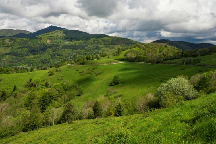 Vue du sommet du Grand Ballon et des montagnes des Vosges, le 13 mai 2024, région dans laquelle un programme de réintroduction du grand tétras partir d'individus capturés en Norvège est contesté par des associations lorraines ( AFP / Jean-Christophe Verhaegen )