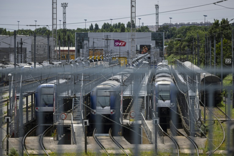 Des trains stationnés près de la gare de Mont-de-Terre, à Lille, le 25 juin 2025 dans le Nord ( AFP / Sameer Al-DOUMY )