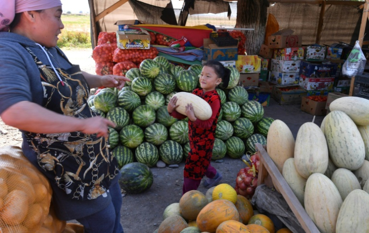 Un stand de vente de fruits et légumes, dans le village d'Aleksandrovka, à une vingtaine de km de Bichkek, au Kirghizstan, le 3 octobre 2024  ( AFP / VYACHESLAV OSELEDKO )