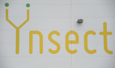 ( AFP / SEBASTIEN BOZON )