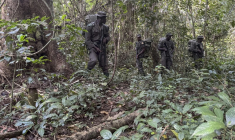 Des rangers de la fondation Africa Nature Investors s'entraînent à patrouiller dans la forêt d'Okomu, dans le sud-ouest du Nigeria, le 11 novembre 2025 ( AFP / Leslie FAUVEL )