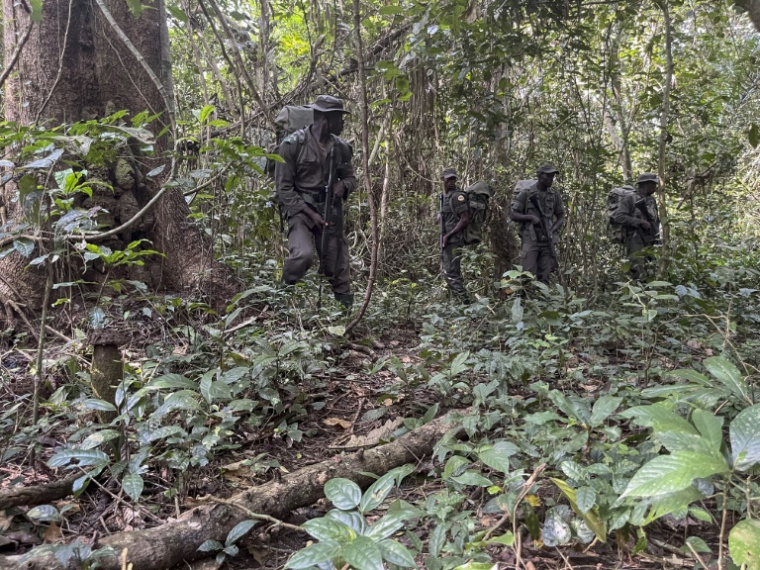 Des rangers de la fondation Africa Nature Investors s'entraînent à patrouiller dans la forêt d'Okomu, dans le sud-ouest du Nigeria, le 11 novembre 2025 ( AFP / Leslie FAUVEL )