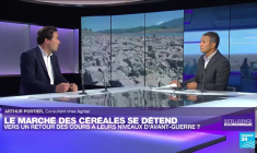 Les cours des céréales reviennent vers leurs niveaux antérieurs à la guerre en Ukraine