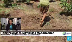 COP26 : à Madagascar, première famine causée par le réchauffement climatique