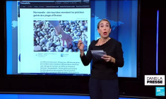 Excédent budgétaire irlandais: "Noël avant l'heure"