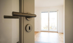 PIXEL to the PEOPLE/Shutterstock / PIXEL to the PEOPLE