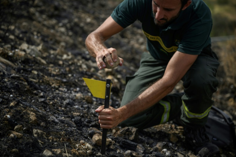 Le technicien forestier de l'ONF Stéphane Paoli plante un marqueur alors qu'il inspecte une zone touchée par un récent incendie de forêt, à Luc-sur-Orbieu, près de Narbonne, le 19 août 2025 dans l'Aude ( AFP / Ed JONES )