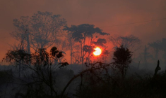 COP26: PLUS DE 100 DIRIGEANTS PROMETTENT DE STOPPER LA DÉFORESTATION D'ICI 2030