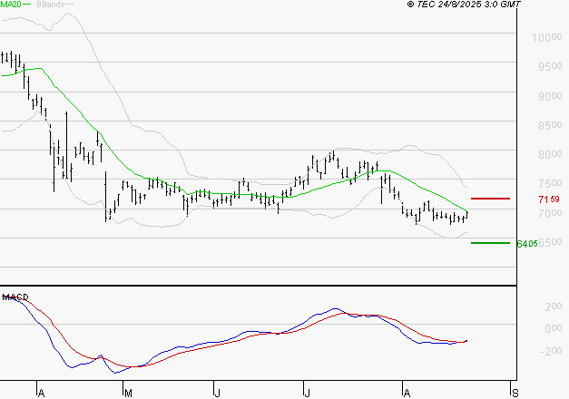 ALTEN : Retour possible sur les supports