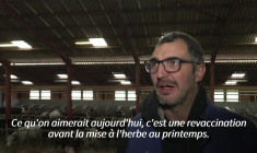 Dermatose: en Haute-Savoie, "on a une épée de Damoclès sur la tête" (éleveur)