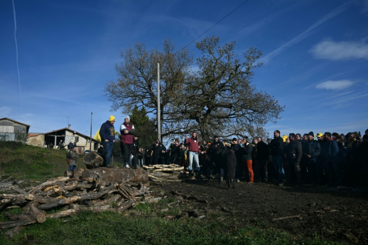 Le président de la Coordination rurale (CR) de l'Ariège, Sébastien Durand (g) et la figure régionale du mouvement de protestation agricole, Jérôme Bayle (2e g), participent à une manifestation d'agriculteurs pour empêcher l'abattage d'un troupeau de 200 vaches, suite à la détection de la dermatose nodulaire contagieuse (DNC) aux Bordes-sur-Arize, le 11 décembre 2025 en Ariège ( AFP / Matthieu RONDEL )