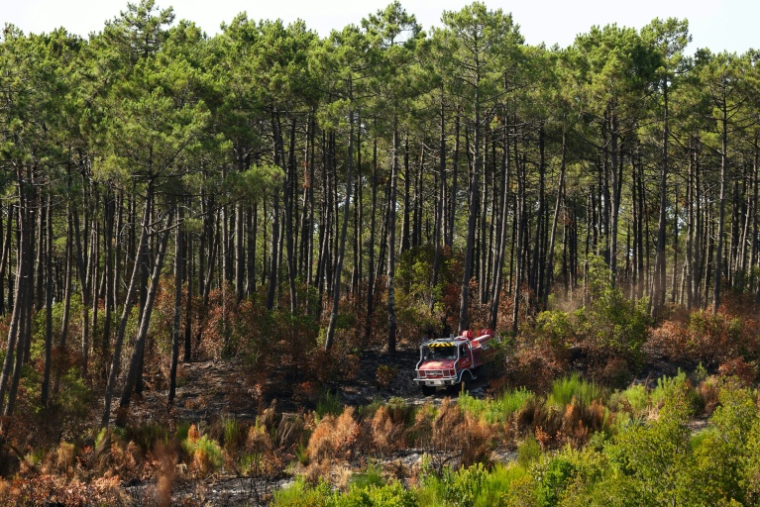 Un camion de pompiers dans la forêt du Grand Crohot, à Lège-Cap-Ferret, en Gironde, le 1er août 2026  ( AFP / ROMAIN PERROCHEAU )