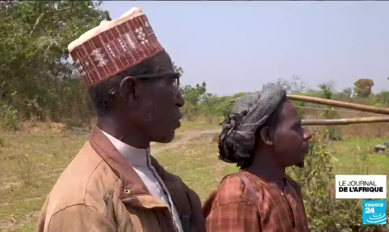 Centrafrique : la transhumance au cœur des tensions entre les éleveurs et les agriculteurs