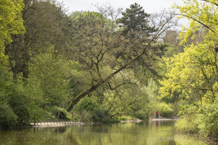 Le lac de Saint-Mandé, au coeur du bois de Vincennes, à Paris, le 2 avril 2026 ( AFP / Martin LELIEVRE )