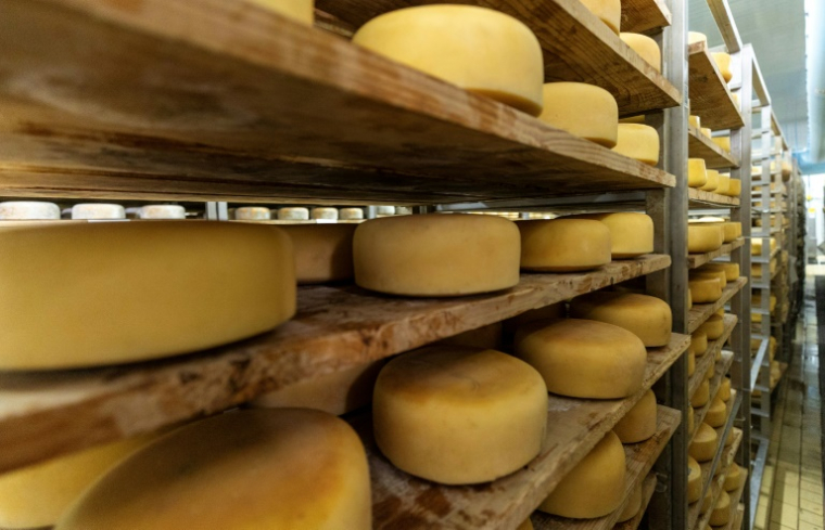 Des meules de Paski Sir, "fromage de Pag", vieillissent sur des étagères en bois à la société "Paska sirana" sur l'île de Pag, le 10 juin 2025 en Croatie ( AFP / DAMIR SENCAR )
