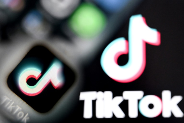 Cinq influenceurs aux contenus jugés problématiques par certains députés, auditionnés par la commission d'enquête sur les effets psychologiques de TikTok sur les mineurs mardi, ont rejeté la responsabilité sur les parents et les plateformes ( AFP / Kirill KUDRYAVTSEV )