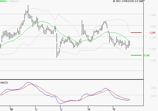 CARREFOUR SA : La tendance baissière peut reprendre