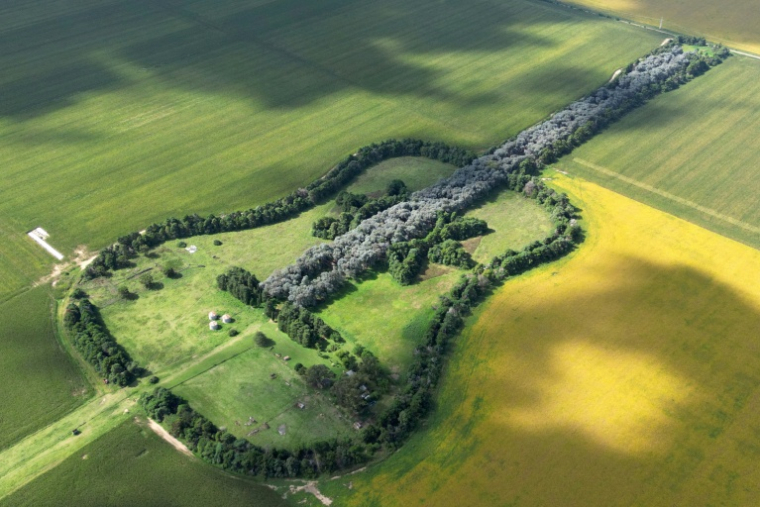 Vue aérienne de l'Estancia La Guitarra (la Ferme de la guitare), entourée de champs de maïs, près de General Levalle, dans le sud de la province de Cordoba, en Argentine, le 30 mars 2026 ( AFP / Juan MABROMATA )