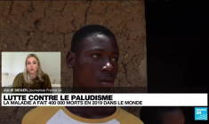 Le paludisme éradiqué de Chine après 70 ans de lutte