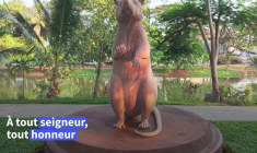 Le Cambodge dévoile une statue en l'honneur d'un rat détecteur de mines