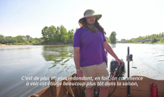 La Loire, en alerte, éprouvée par une sécheresse exceptionnelle