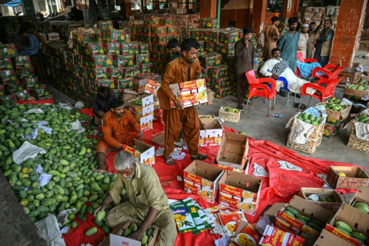 Des ouvriers emballent des mangues sur un marché à Karachi, le 5 juin 2026 au Pakistan ( AFP / Rizwan TABASSUM )