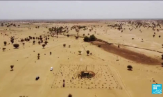 Sénégal : des jardins circulaires pour cultiver fruits, légumes et plantes médicinales