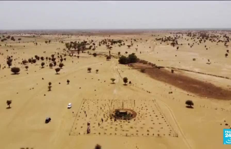 Sénégal : des jardins circulaires pour cultiver fruits, légumes et plantes médicinales