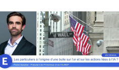 Les particuliers à l’origine d’une bulle sur l’or et sur les actions liées à l’IA ?