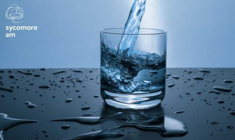 Journée mondiale de l’eau 2022