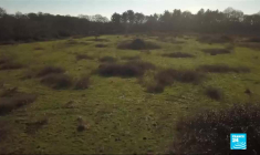 Royaume-Uni : quand la nature reprend ses droits