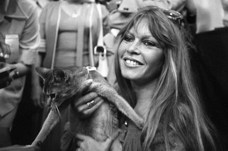 Brigitte Bardot lors d'une exposition féline à Saint-Tropez, le 4 juin 1977  ( AFP / - )