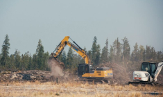 Les travailleurs coupent des arbres à Yellowknife, au Canada