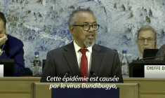 Ebola: Le chef de l'OMS "profondément préoccupé par l'ampleur et la rapidité" de l'épidémie