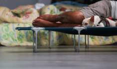 Un homme se repose sur un lit de camp avec son chien dans une salle au Porge, en Gironde, ouverte pour les personnes évacuées en raison de l'incendie qui sévit au nord du bassin d'Arcachon, le 23 juillet 2026 ( AFP / ROMAIN PERROCHEAU )